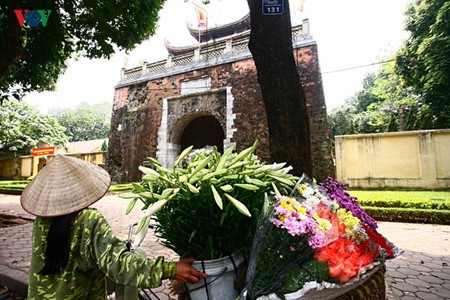 Liliengewächse auf den Straßen Hanois - ảnh 6