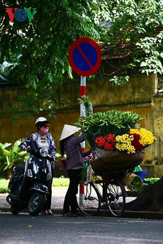 Liliengewächse auf den Straßen Hanois - ảnh 8