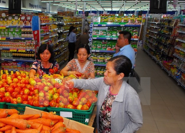 Vietnams Wirtschaftswachstum bleibt auf BB-/B - ảnh 1