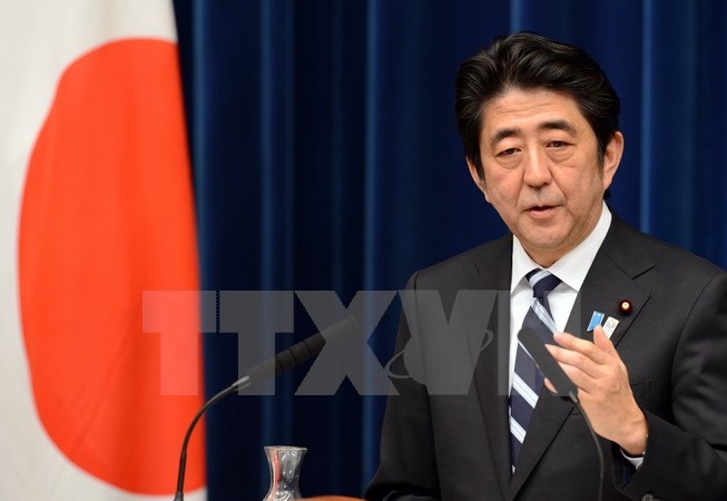Japan betont seine Auffassung über Insel-Streit mit Russland - ảnh 1