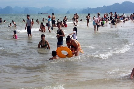  Mehr als 26.000 Gäste besuchen Halong-Bucht beim Jahreswechsel - ảnh 1