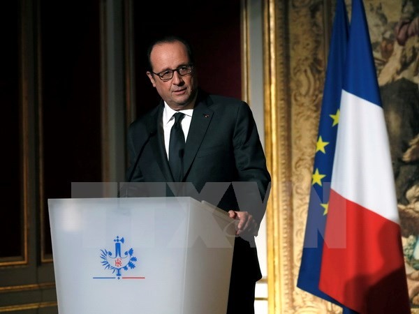 Hollande: Französischer Militäreinsatz in Mali dauert noch länger - ảnh 1