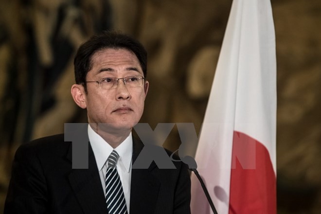 Japan und Russland diskutieren über gemeinsame Aktionen auf umstrittenen Inseln - ảnh 1
