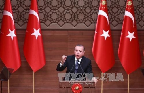 EU bestellt türkischen Botschafter wegen der Rede von Präsident Erdogan ein - ảnh 1