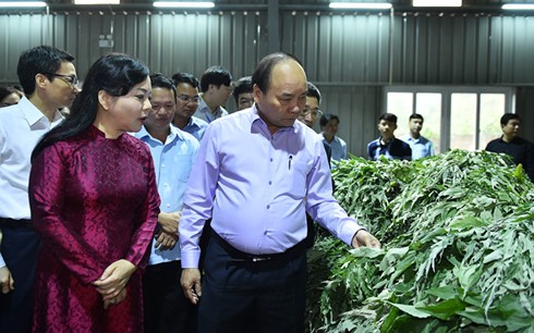 Premierminister Nguyen Xuan Phuc leitet Landeskonferenz über Pflanzenheilkunde in Vietnam - ảnh 1
