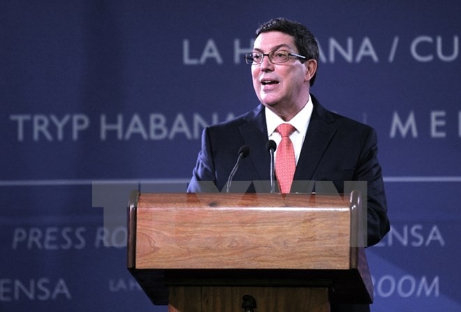 Kubas Außenminister will Dialoge mit den USA fortsetzen - ảnh 1