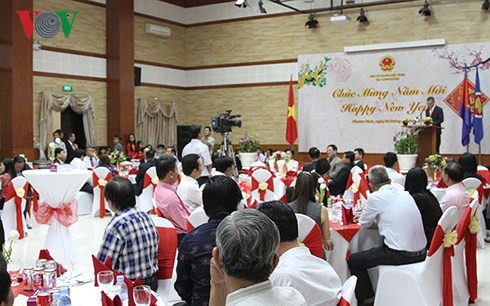 Vietnamesen im Ausland begrüßen Neujahrsfest Tet - ảnh 1