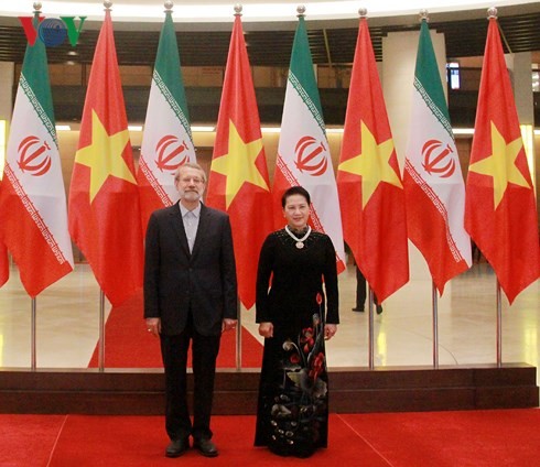  Hochrangiges Gespräch zwischen Vietnam und Iran - ảnh 1