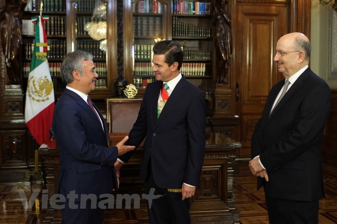 Mexikos Präsident will Zusammenarbeit mit Vietnam vertiefen - ảnh 1