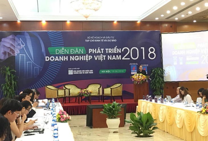 Positive Zeichen über Entwicklung der vietnamesischen Unternehmen - ảnh 1