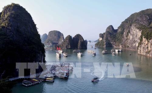 ATF verbessert touristisches Image in Vietnam - ảnh 1
