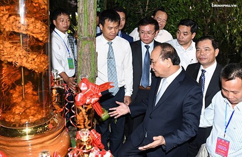 Premierminister Nguyen Xuan Phuc setzt auf Ginseng Ngoc Linh - ảnh 1