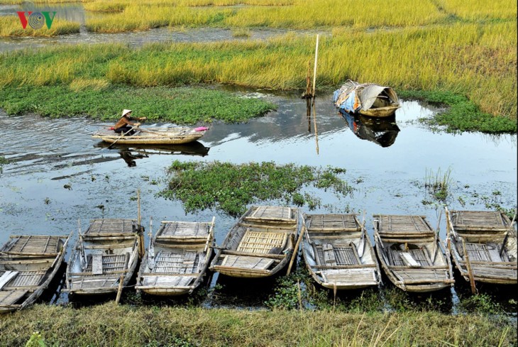 Entdecken die Naturschönheit des 9. Schutzgebietes Van Long- Ramsar in Vietnam - ảnh 7