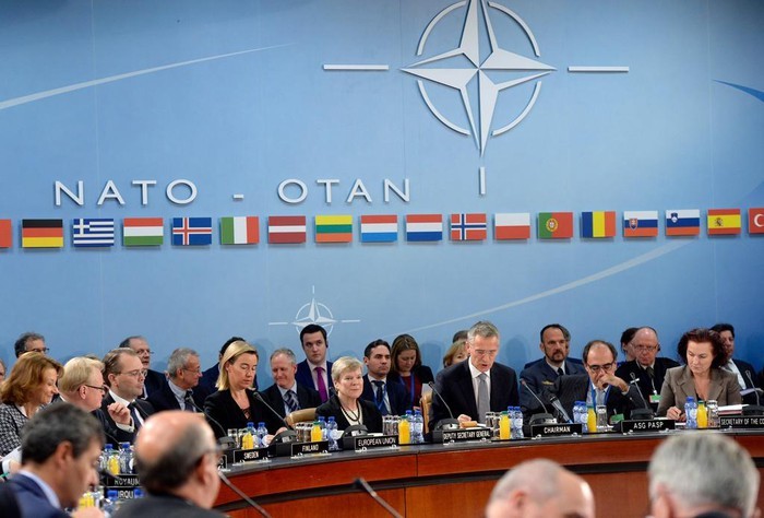 Die Nato ist am Scheideweg nach 70 Jahren Bestehen - ảnh 1