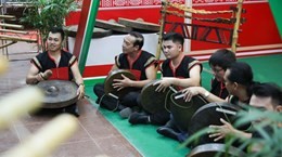 Traditionelle vietnamesische Musik soll bewahrt werden - ảnh 1