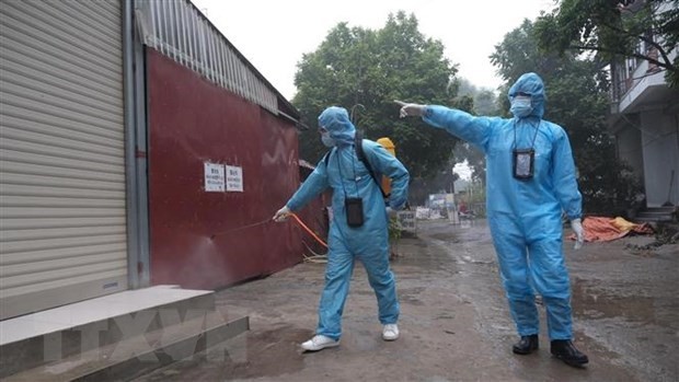 COVID-19-Pandemie: Keine neuen Infizierten registriert - ảnh 1