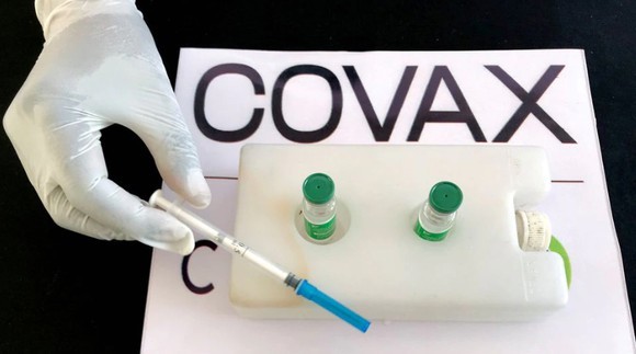 Regierung stellt COVAX-Mechanismus knapp 420.000 Euro zur Verfügung - ảnh 1