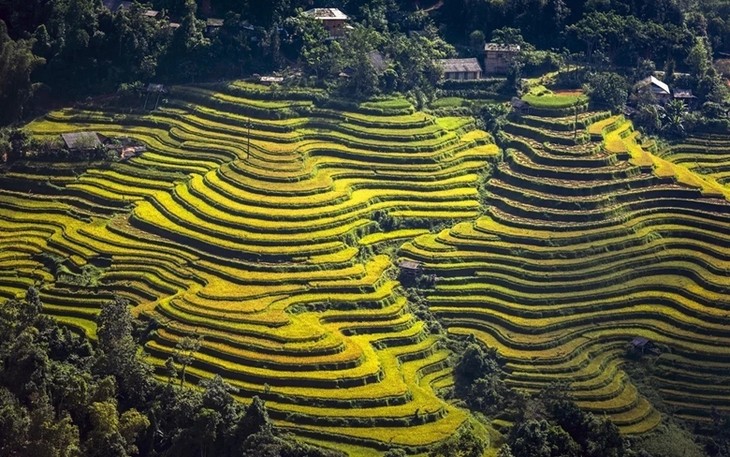 Einstellung der Kultur-und Tourismuswoche “Durch Regionen-Erbe der Reisterrassen in Hoang Su Phi“ - ảnh 1