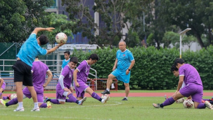 Trainingstermine der vietnamesischen Fußballmannschaft für Spiele gegen Australien und China - ảnh 1