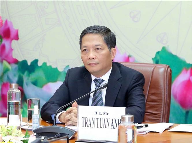 Leiter des Wirtschaftskomitees der Partei Tran Tuan Anh besucht Belgien - ảnh 1
