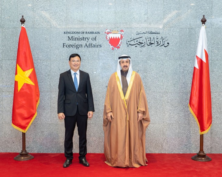 Vietnam – Bahrain wollen bilaterale Zusammenarbeit verbessern - ảnh 1
