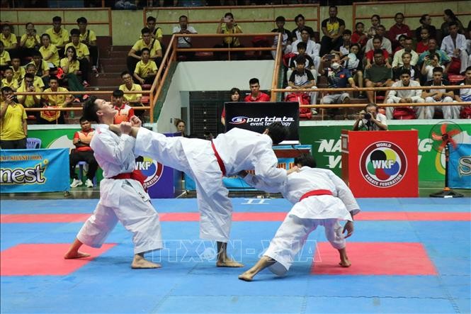 Eröffnung der nationalen Karate-Meisterschaft der Junioren - ảnh 1
