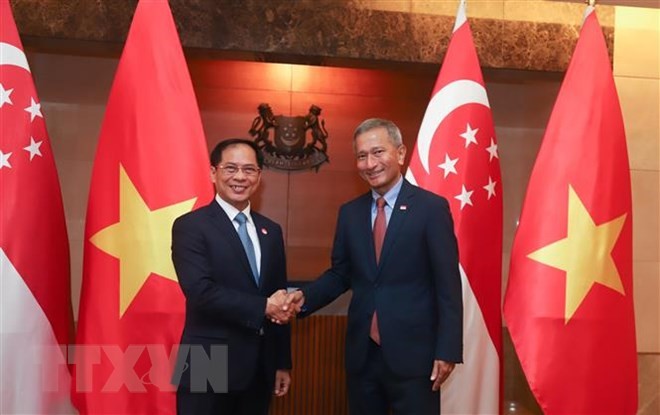 Außenminister Bui Thanh Son besucht Singapur - ảnh 1