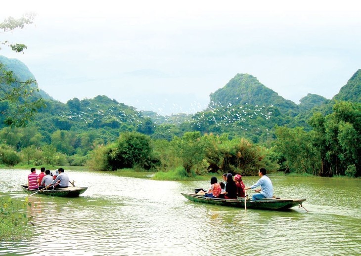 ຄົ້ນຫາສວນນົກ ທຸງຍາມ, ນິງບິ່ງ - ảnh 3