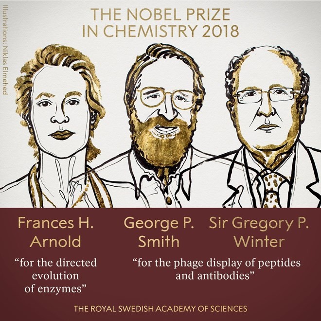 2018년 노벨화학상, 미국 – 영국 과학자들 수상 - ảnh 1