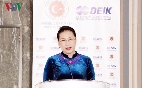 Nguyen Thi Kim Ngan 국회의장, 터키–베트남 투자경영포럼에  참여 - ảnh 1