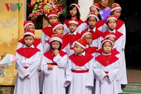 베트남의 열띤 성탄 분위기 - ảnh 1