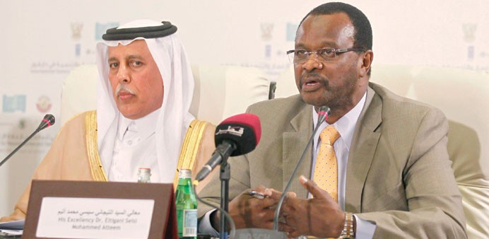 Doha meeting to raise money for Darfur - ảnh 1
