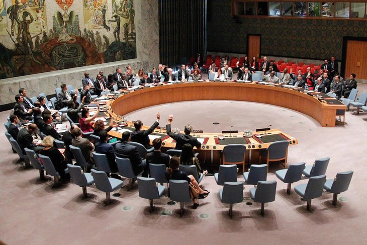 UN Security Council extends mandates in Iraq, Cyprus - ảnh 1