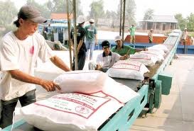 Exportaciones de arroz de Vietnam alcanza nuevo récord en 2012 - ảnh 1
