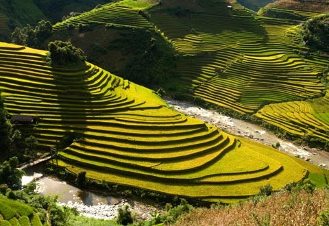 Mu Cang Chai y legendarias parcelas de arroz en terrazas - ảnh 1