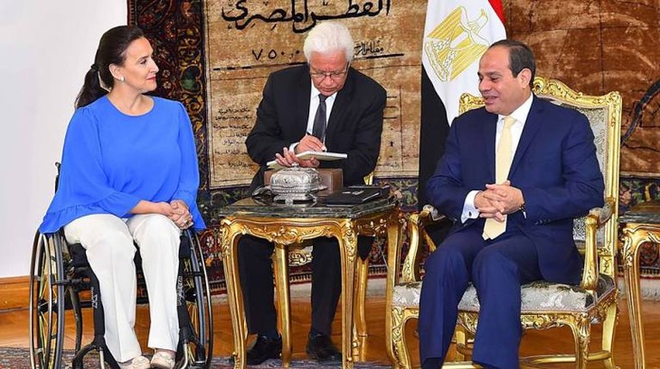Argentina y Egipto votan por consolidar la cooperación económica y comercial - ảnh 1