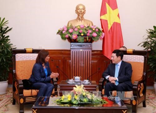Impulsan las buenas relaciones entre Vietnam y Timor Leste - ảnh 1