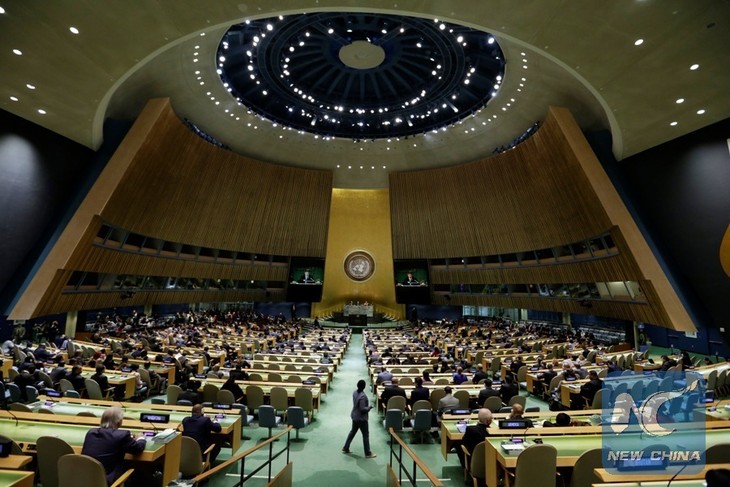 La ONU aúna esfuerzos para su renovación tras 72 años desde su fundación - ảnh 1