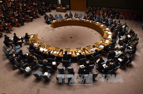 El Consejo de Seguridad de la ONU exhorta a la reanudación de las negociaciones de paz en Libia - ảnh 1