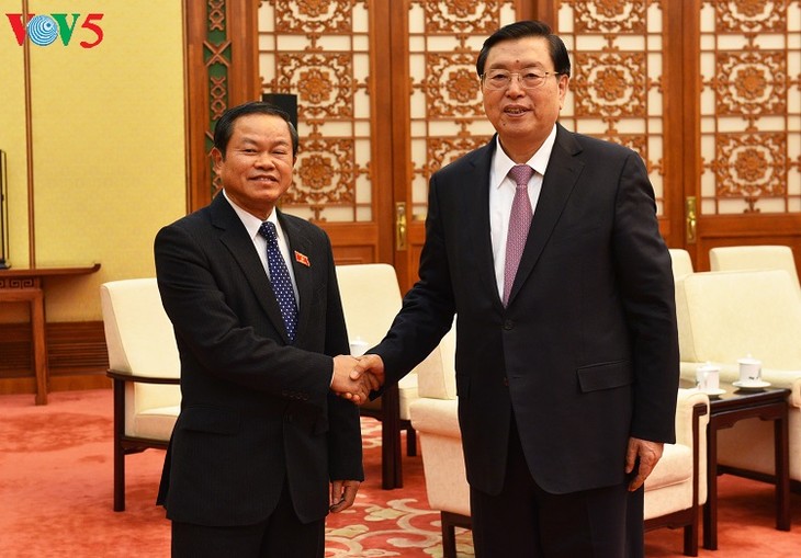 Vicepresidente de Asamblea Nacional de Vietnam visita China - ảnh 1