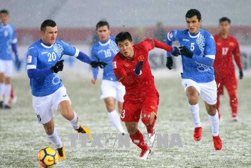 Televisión japonesa elogia fútbol vietnamita - ảnh 1