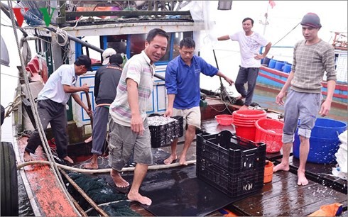 Pescadores de Quang Tri reanudan actividades laborales en el mar - ảnh 1
