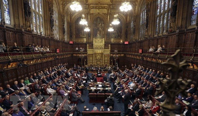 Cámara Alta británica permite al Parlamento decidir sobre el acuerdo final del Brexit - ảnh 1