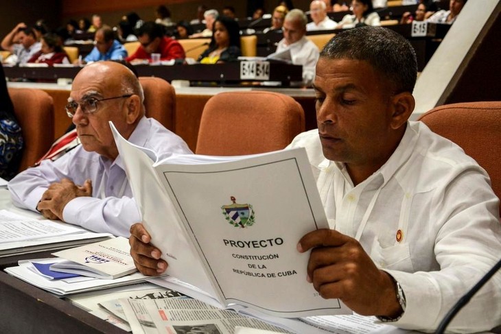 Se iniciará en Cuba un referendo sobre la modificada Constitución - ảnh 1
