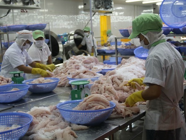 Rechazan información desfavorable contra pescado Tra de Vietnam en mercado europeo - ảnh 1