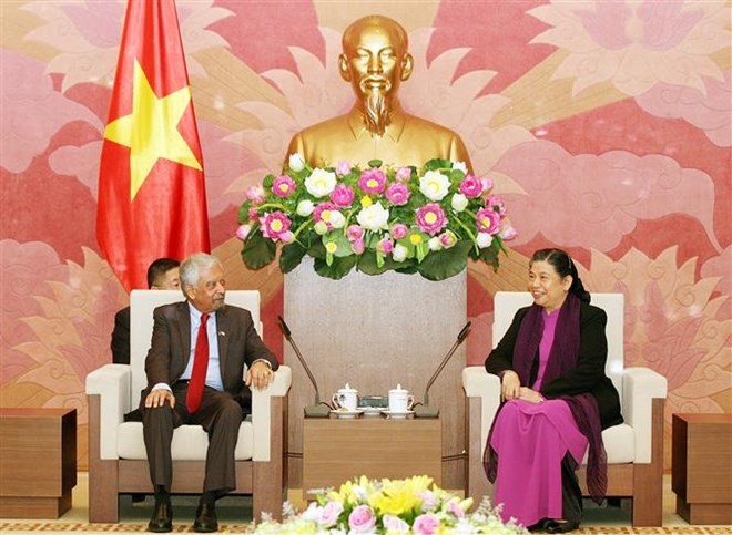 Estrechan cooperación entre Vietnam y la ONU - ảnh 1