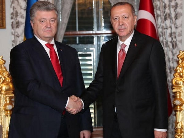 Turquía y Ucrania acuerdan promover asociación estratégica - ảnh 1