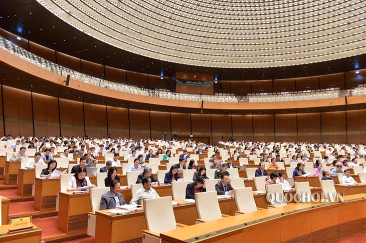 Parlamento de Vietnam ratifica plan de presupuesto estatal para 2019 - ảnh 1