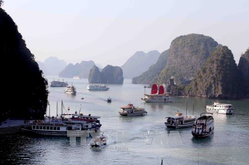 Fortalecen la protección ambiental en la bahía de Ha Long y el archipiélago de Cat Ba - ảnh 1