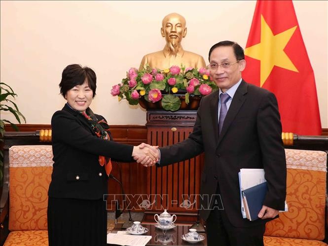 Vietnam y Japón promueven la colaboración diplomática - ảnh 1